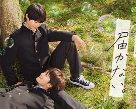 泛页面关键词0083